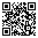 跑online手机汉化版